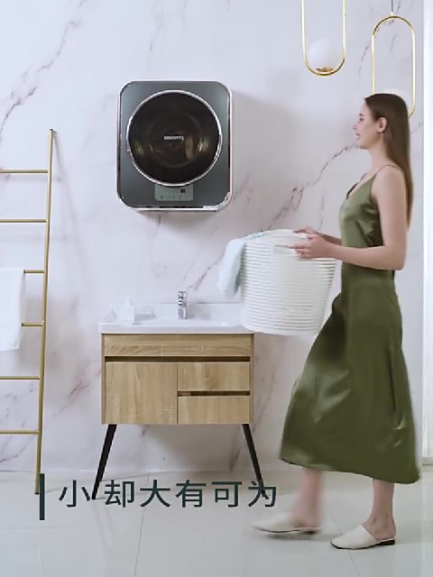 DY-BGX01壁挂式滚简洗衣机