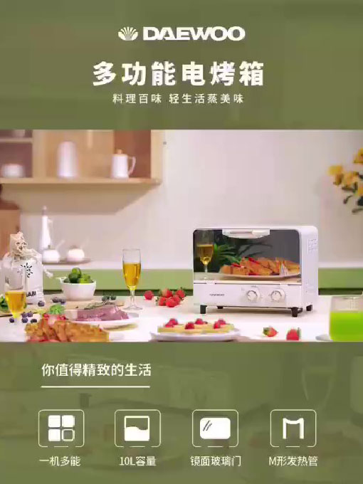 DY-KX01烤箱