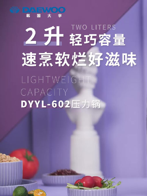 DYYL-602电压力锅